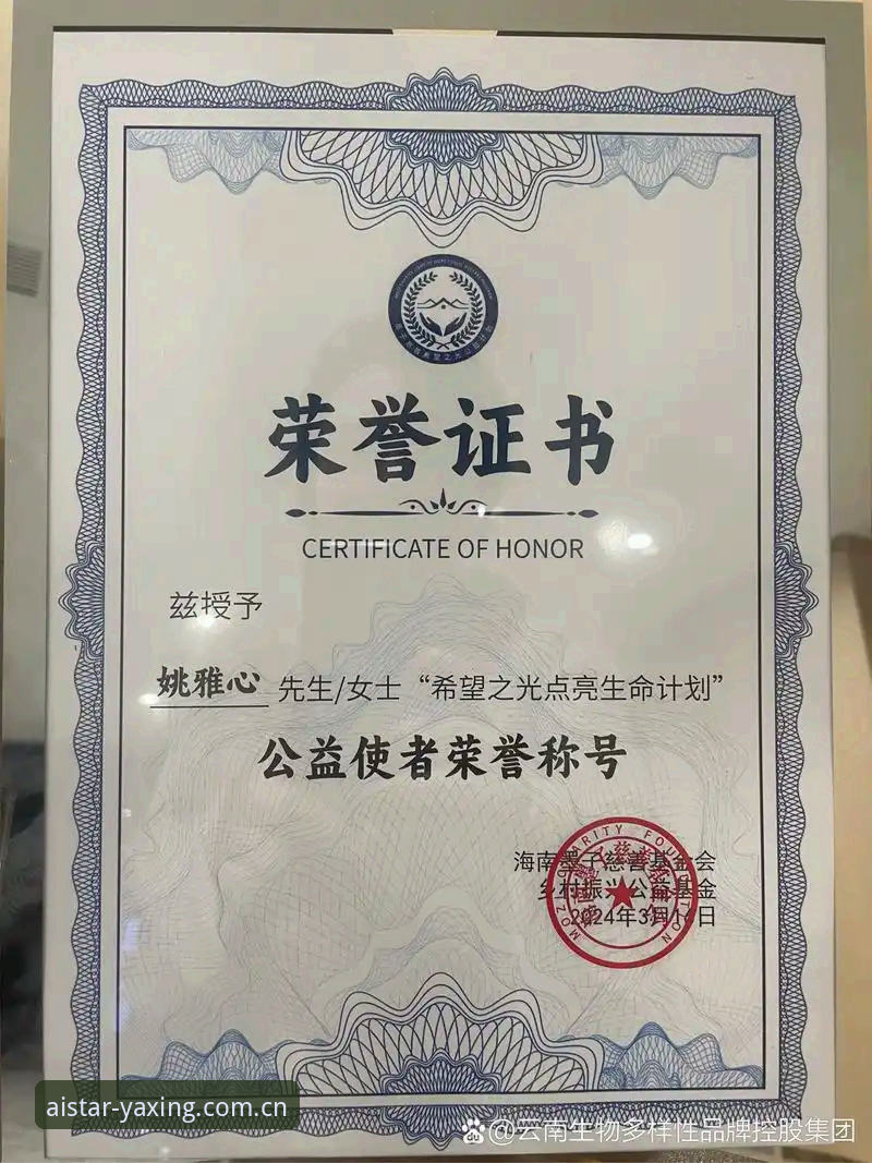 技术评测员告诉你——亚星官网登录入口的真实使用心得